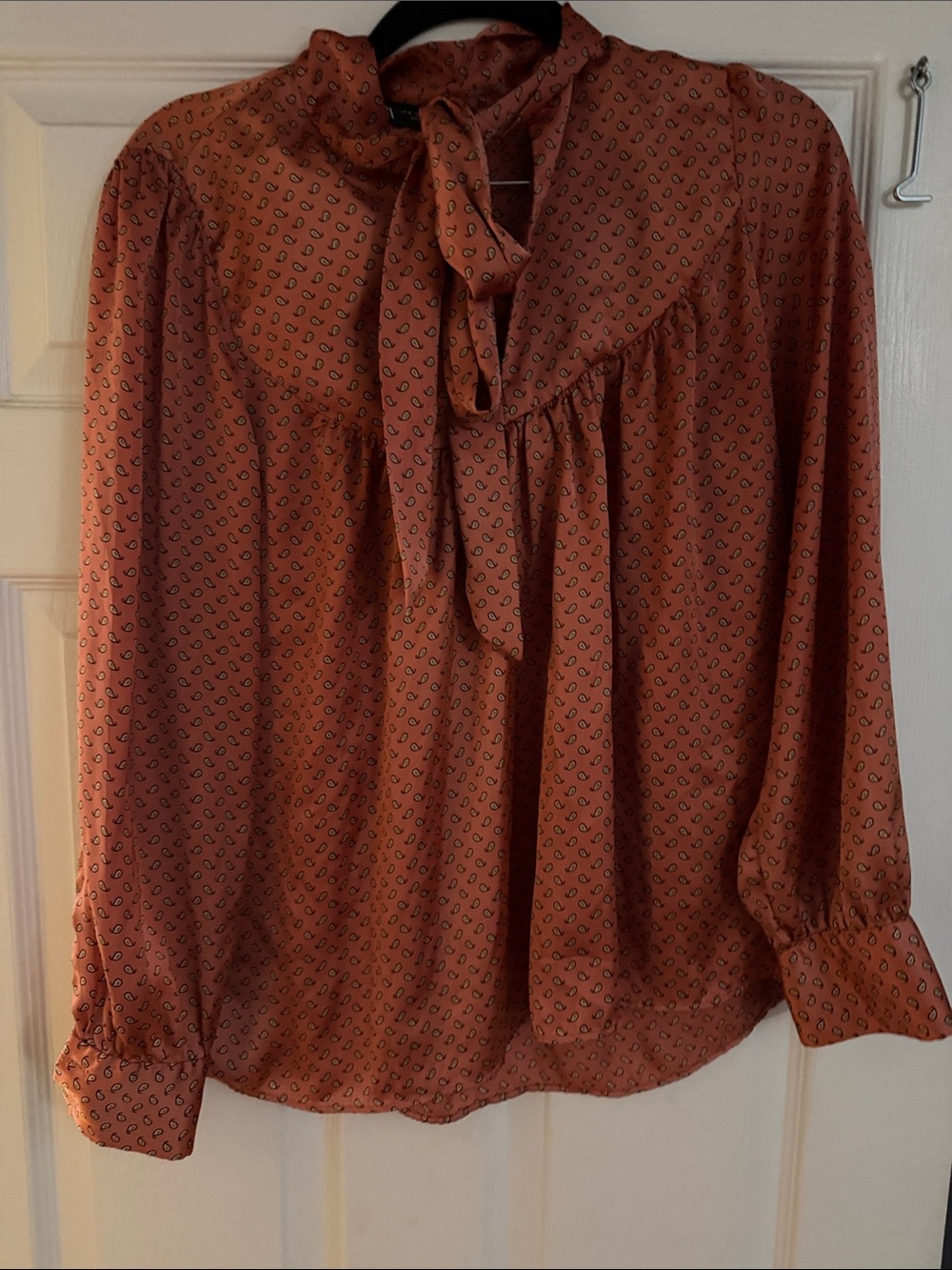 Zara Rust-Orange Tie-Neck Long Sleeve Blouse